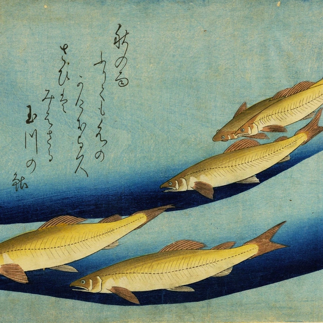 Image copyright Museo Civico Archeologico